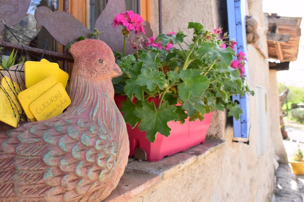 Ferme Saint Pierre Hotel Bargeme ภายนอก รูปภาพ